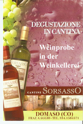 Weindegustation  direkt in der Weinkellerei