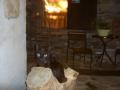 casarina-by-night-04.jpg