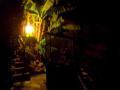 casarina-by-night-05.jpg