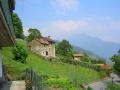 montemezzo-kastanien-(1).jpg