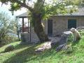 montemezzo-kastanien-(11).jpg