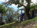 montemezzo-kastanien-(8).jpg