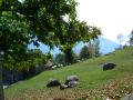 rifugio-dalco-wandern-(10).jpg